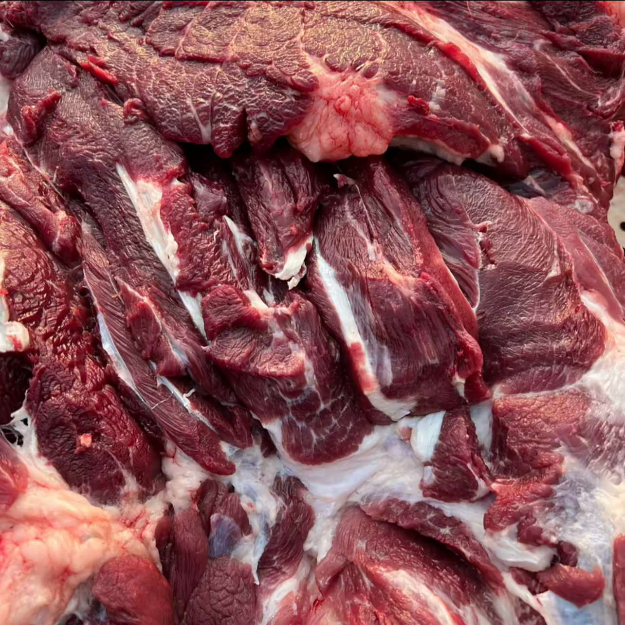 前腿肉  炒着吃 炖着吃 鲜嫩健康美味 耳朵山小胖黑猪肉