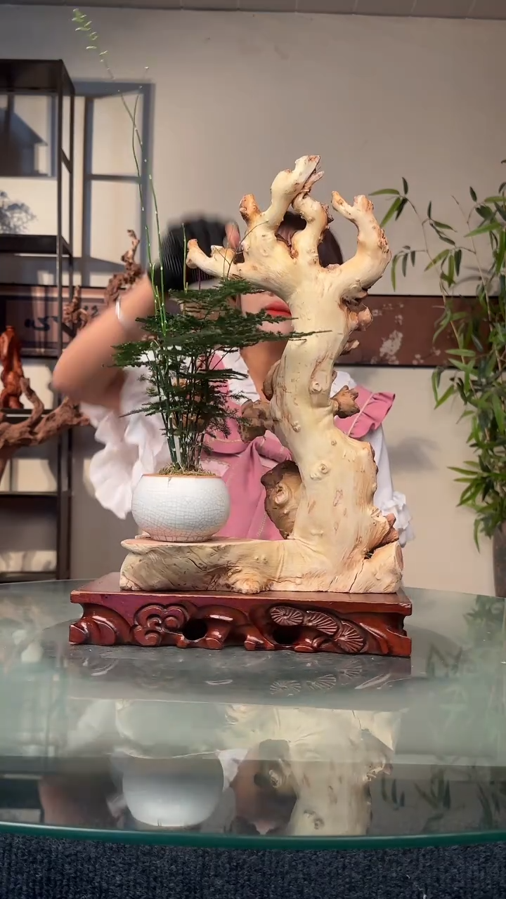 木状****）金丝红木红木854