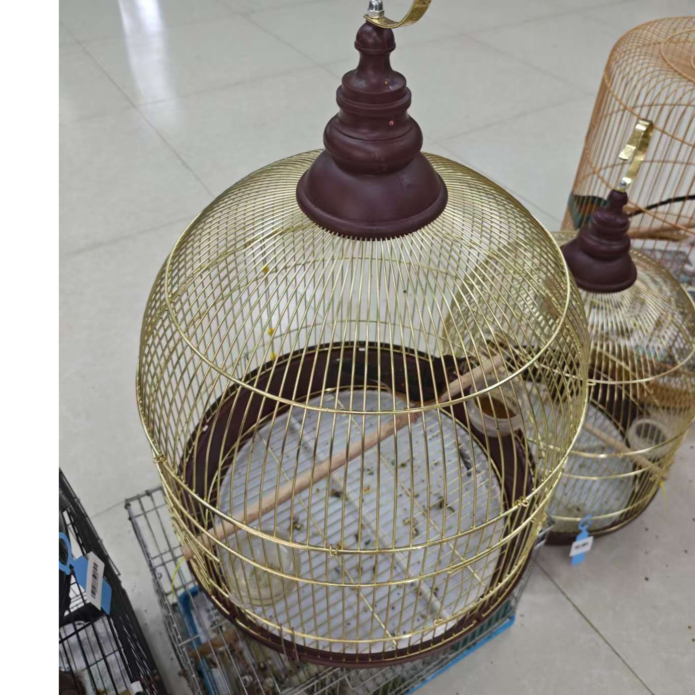 欧式铁艺杂雀高圆笼