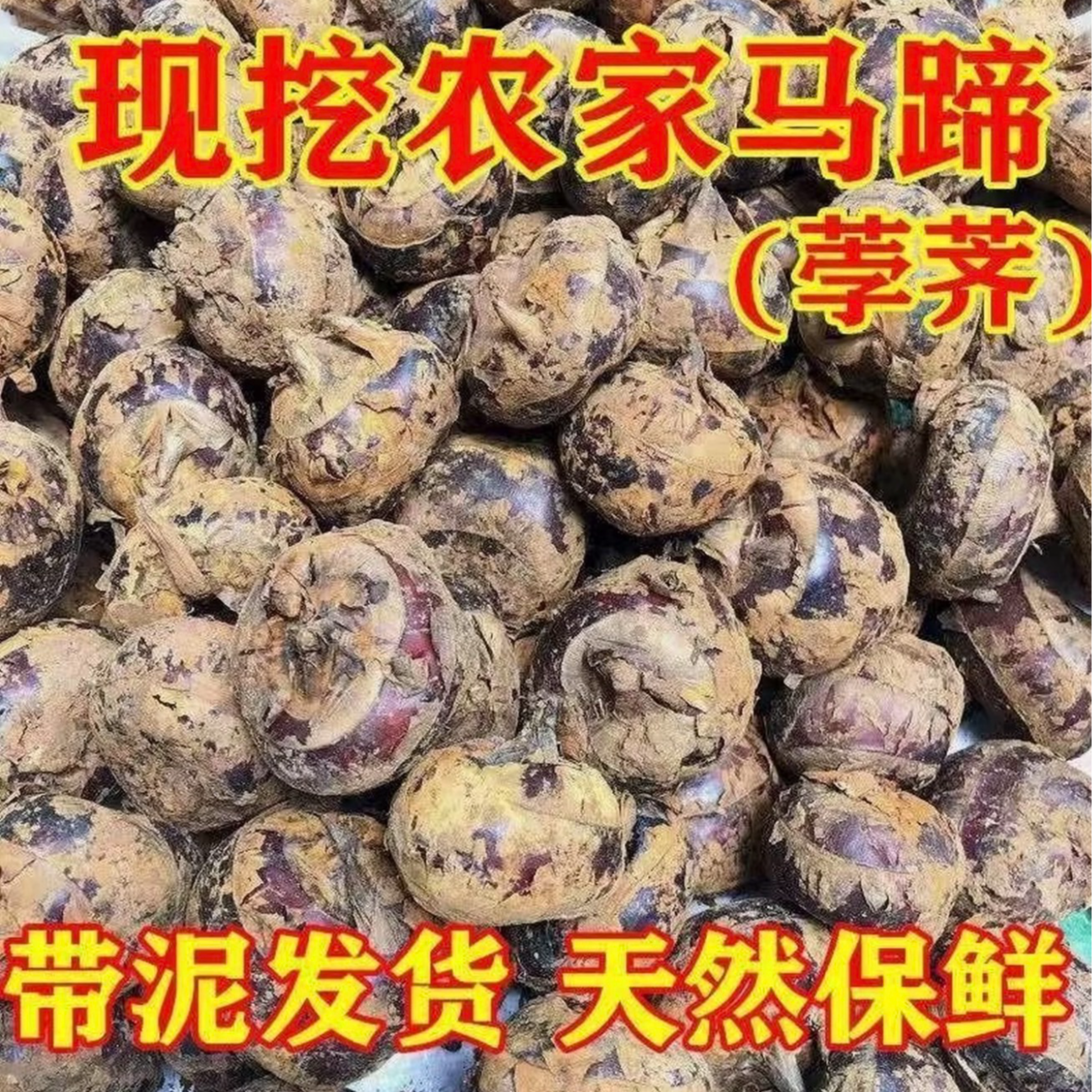 【拍三斤送两斤】新鲜水果马蹄 自家种植 现挖现发 清甜脆爽多汁