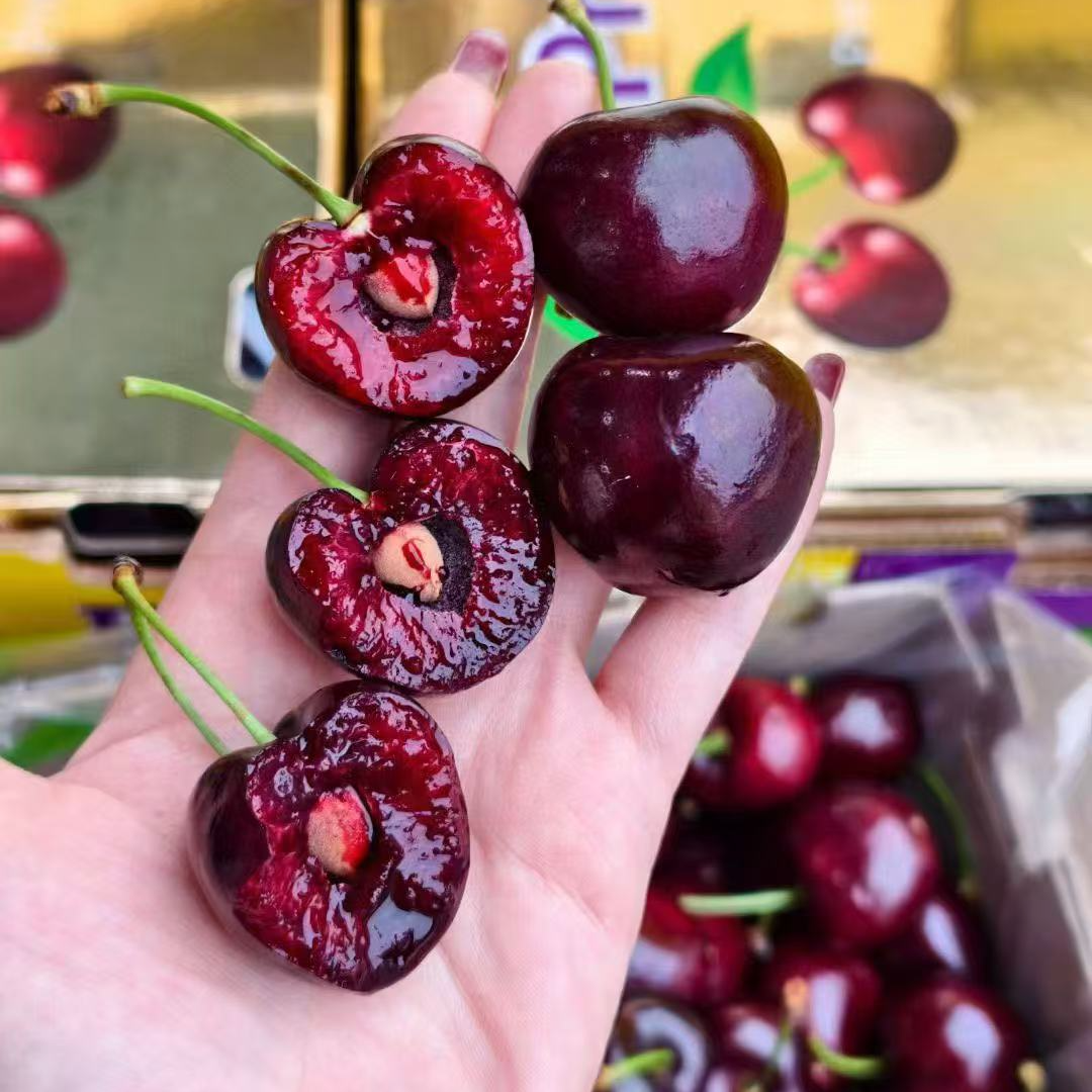 六个波车厘子 桑提娜 3JDD 智利空运进口车厘子 净重1-5斤内附果径卡桑提娜樱桃智利共和国