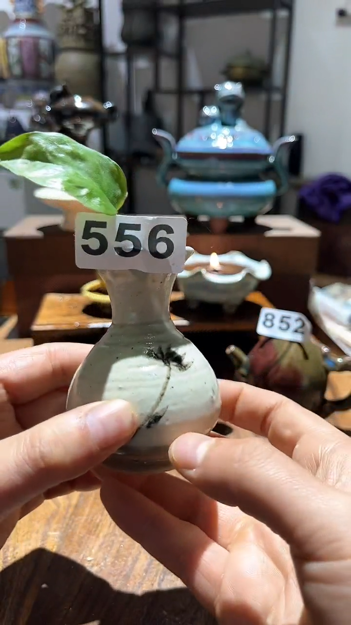 【闪购商品】摆件                   