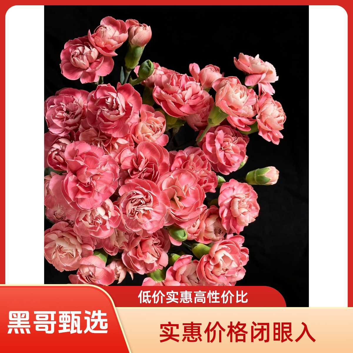 （多丁 环球小姐)多头康到手20枝。多头康80-100头