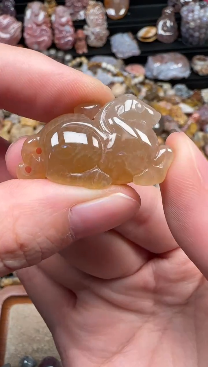 颈饰未镶嵌硅化珊瑚（珊瑚玉）153