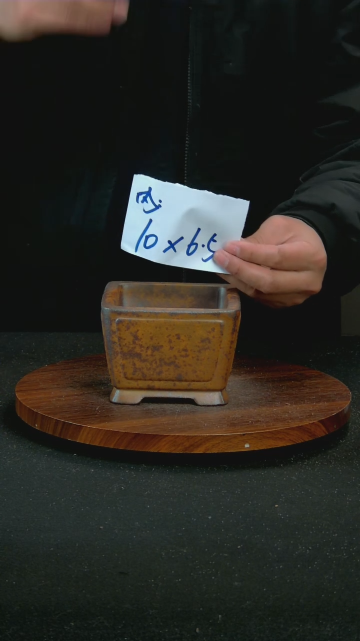 【闪购商品】紫砂S20