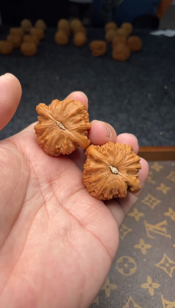 把件文玩核桃B252号39尺白狮子