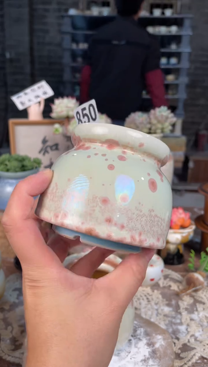 瓷片850知木小芳花盆直播编号