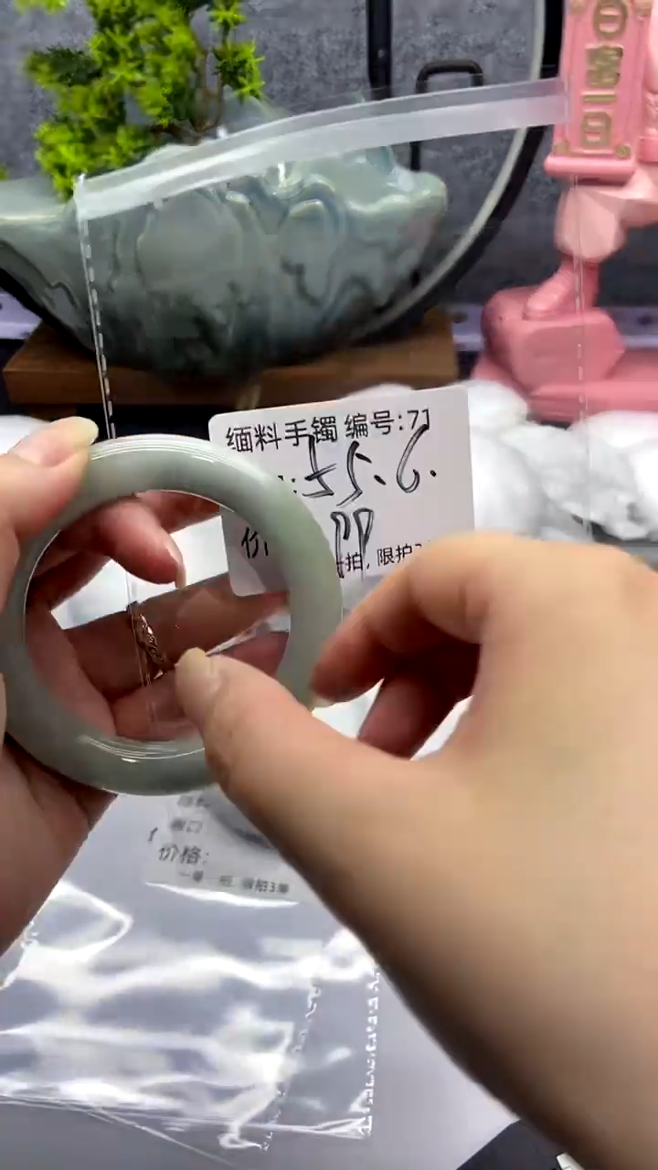 所见即所得！拍啥是啥！71
