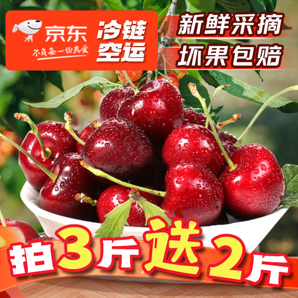 【买3斤送2斤】【省外拍】现摘天水头茬露天红灯大樱桃车厘子京东空运