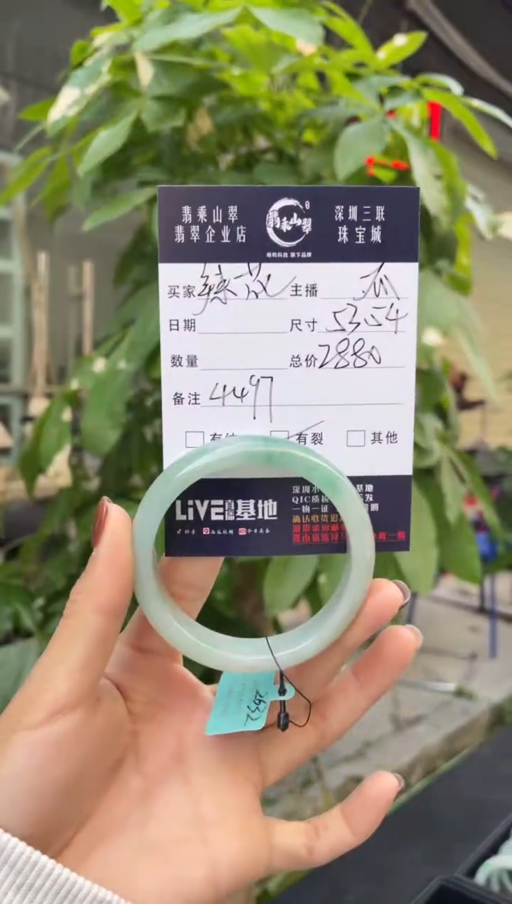 未镶嵌手镯翡翠G 53正圈 4497