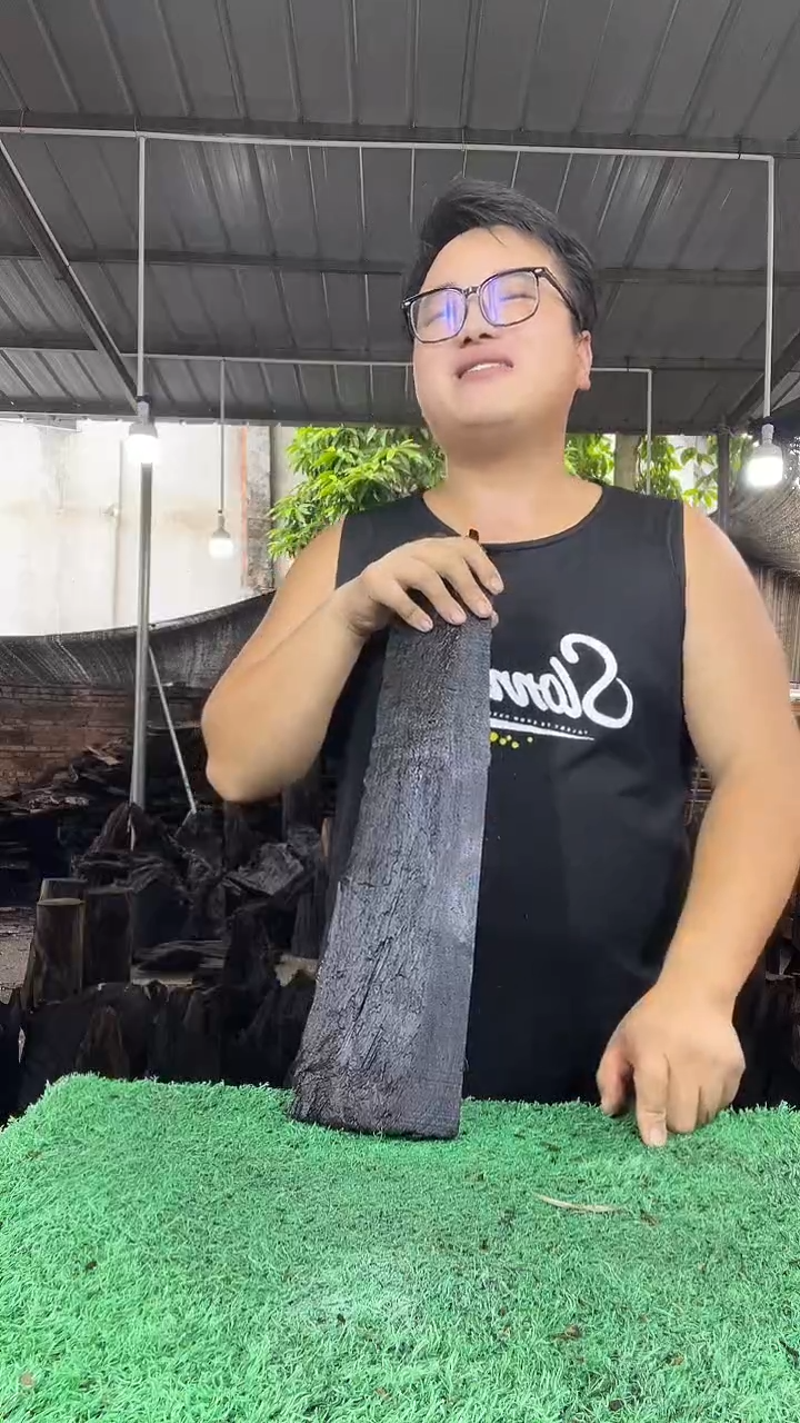 金丝楠小叶桢楠216