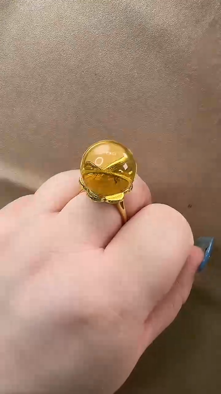 未镶嵌颈饰琥珀戒指