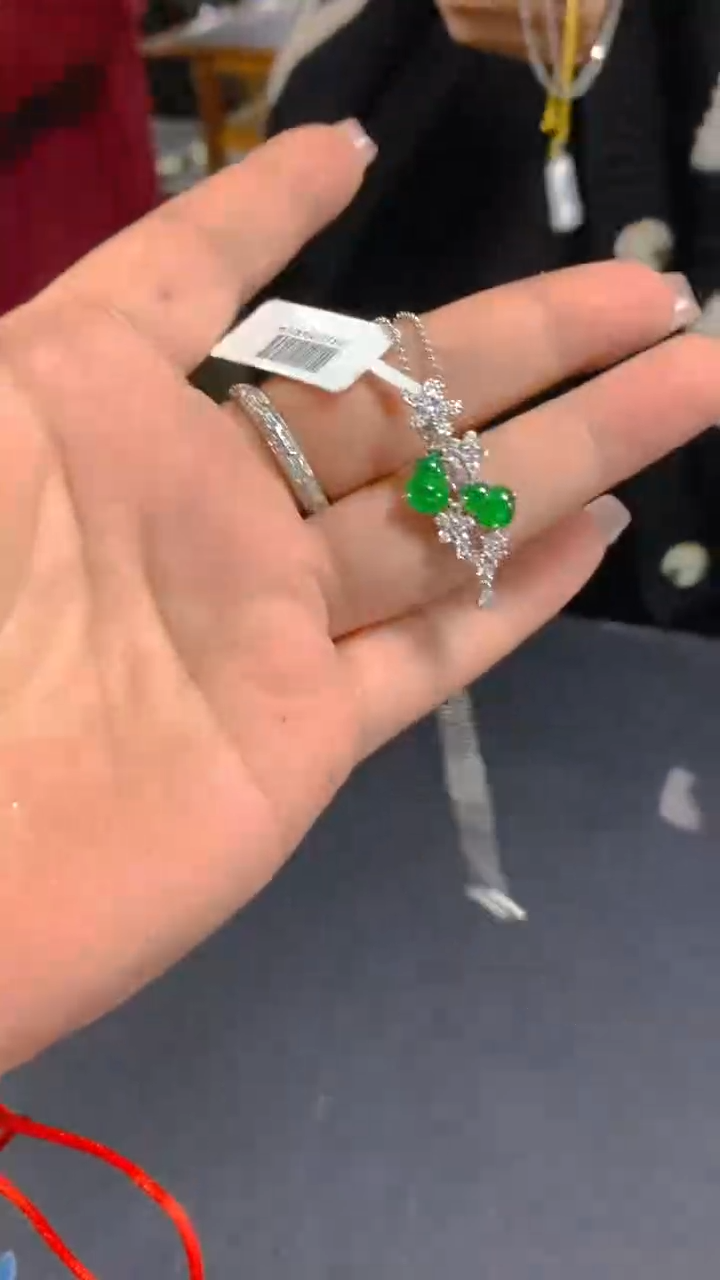 【闪购商品】翡翠吊坠(赠链)未镶嵌0866923770多样性发其一