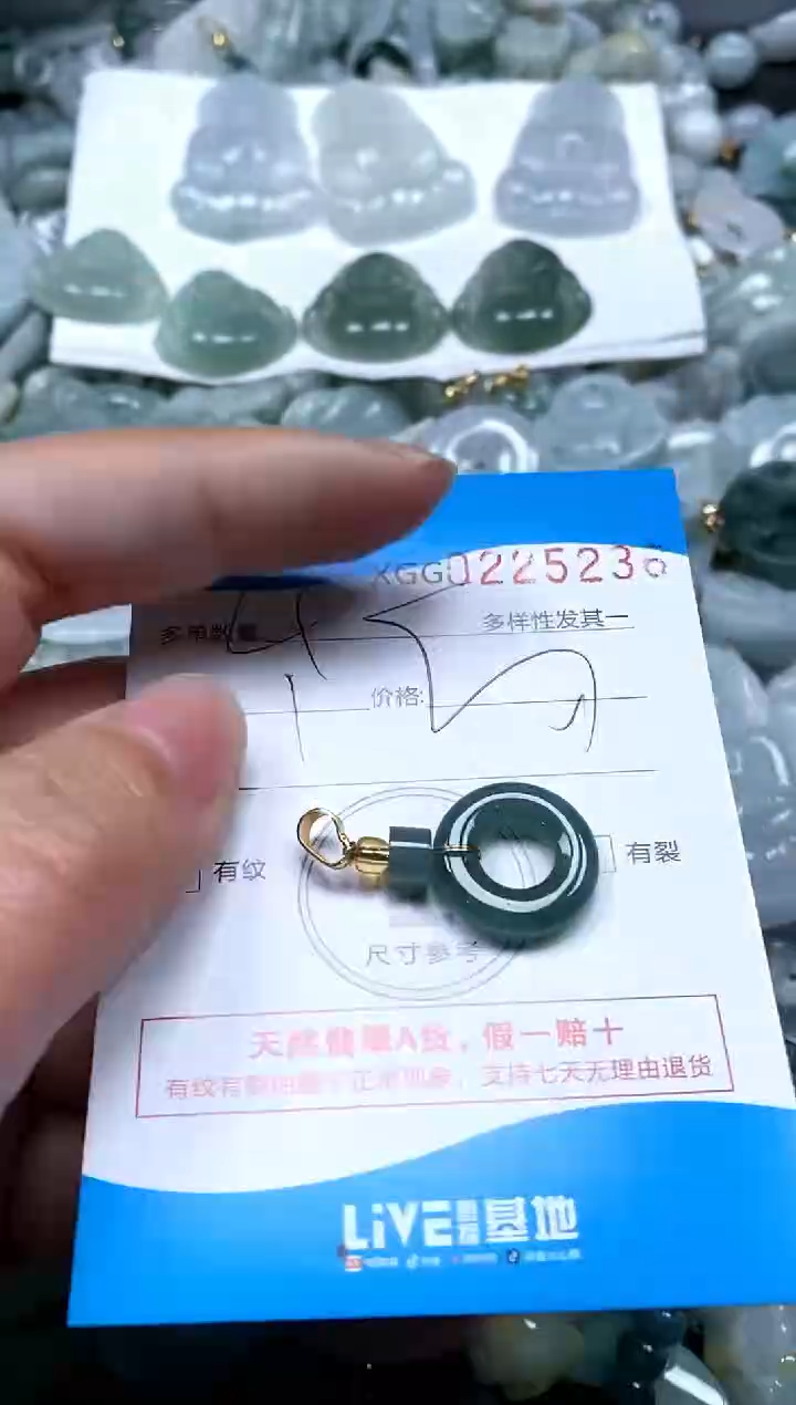 【闪购商品】翡翠颈饰未镶嵌闪购商品0225236多样性