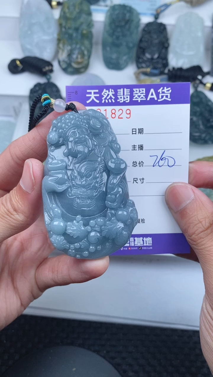 【闪购商品】翡翠颈饰未镶嵌       829