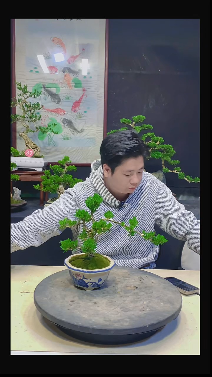 无花朵风**起00000000000