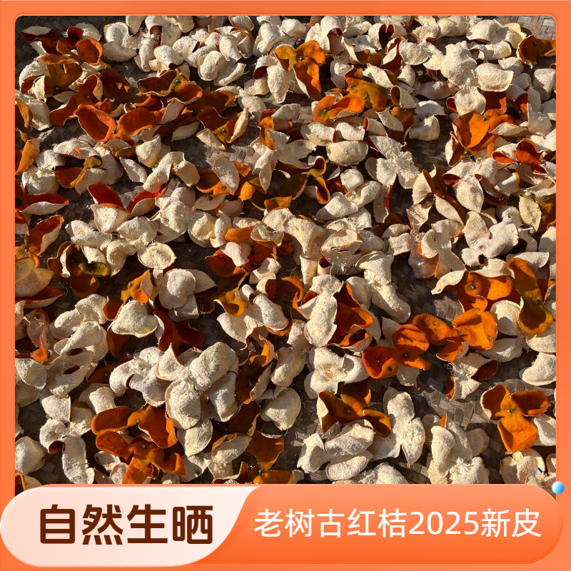 老树古红桔川陈皮大红皮2025年新皮万州古红桔自然生晒