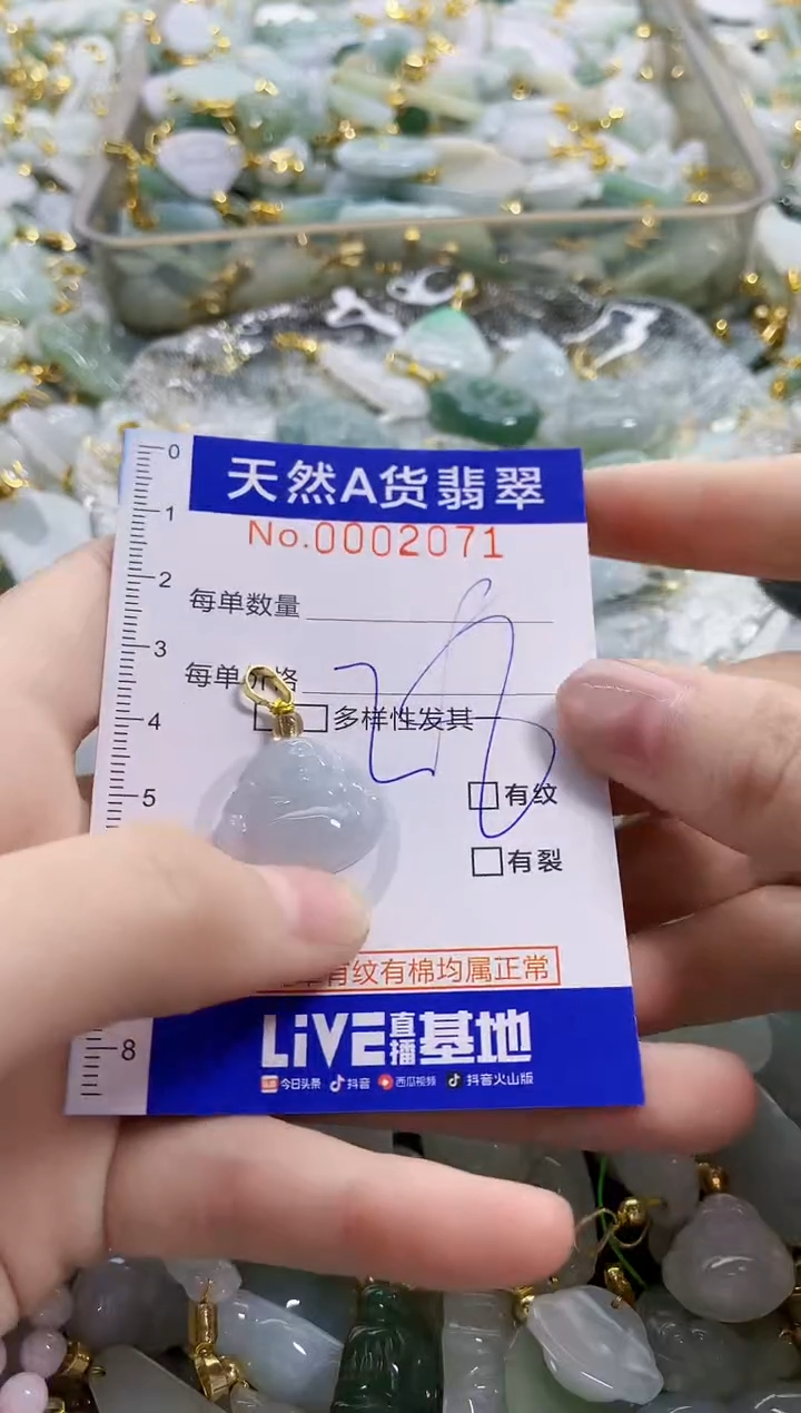 颈饰未镶嵌翡翠纯天然a货翡翠