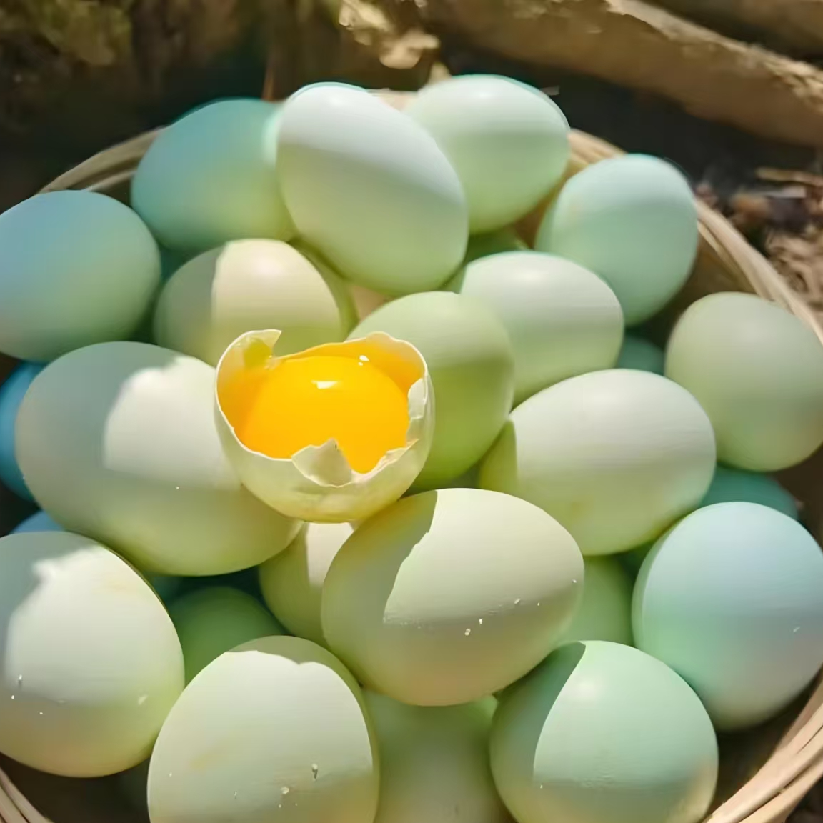 崇明本地青壳鸡蛋25枚