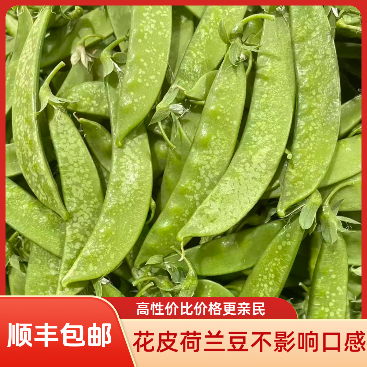 【顺丰包邮 花皮荷兰豆】云南新鲜豌豆荚现摘现发甜脆当季蔬菜