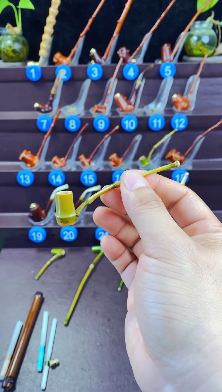 木东**赵檬子木的精品小斗