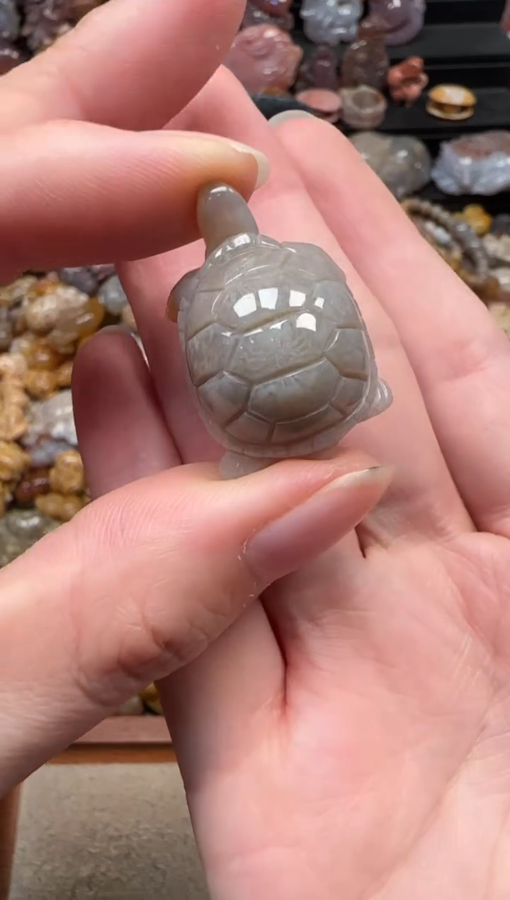 颈饰未镶嵌硅化珊瑚（珊瑚玉）091