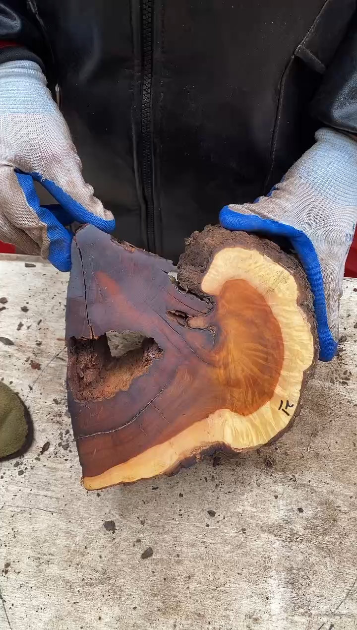 枣木【47】号原木段，尺寸随型