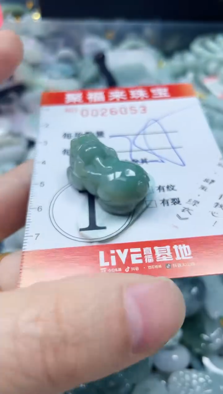 【闪购商品】翡翠颈饰未镶嵌闪购0026053