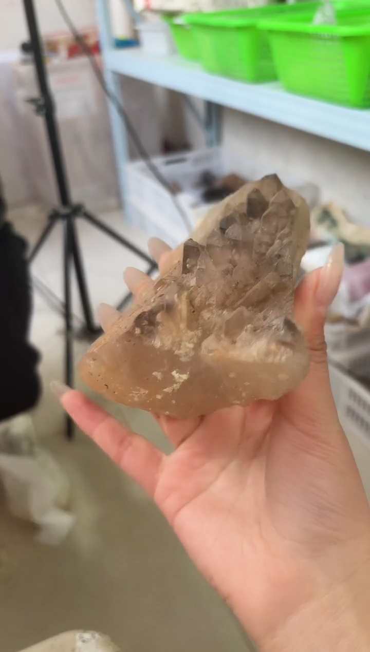 【闪购商品】摆件未镶嵌水晶骸骨骨干 092