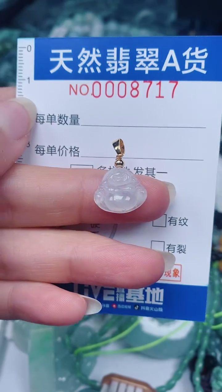 颈饰未镶嵌翡翠00008717