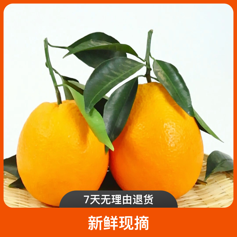 正宗湖北秭归冰糖橙10斤脐橙真实长红纽荷尔新鲜多汁酸甜可口橙子