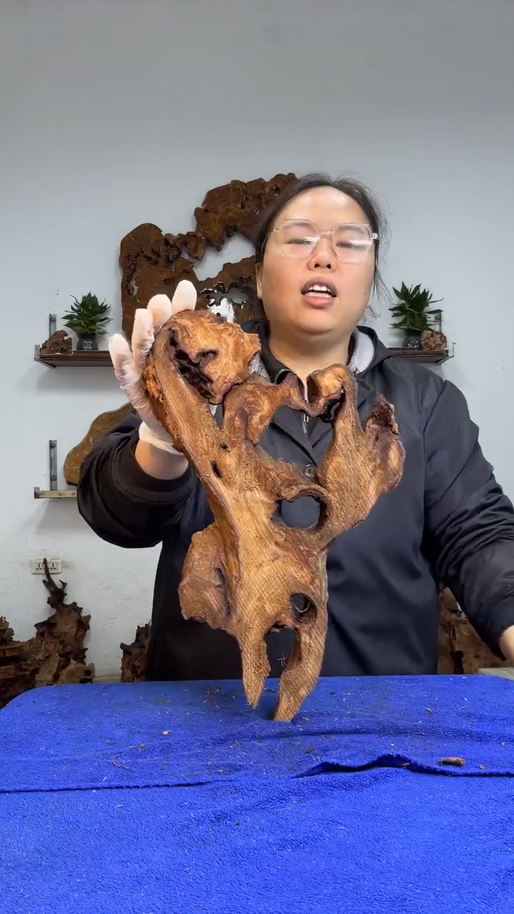 香杉树根瘤板材原料