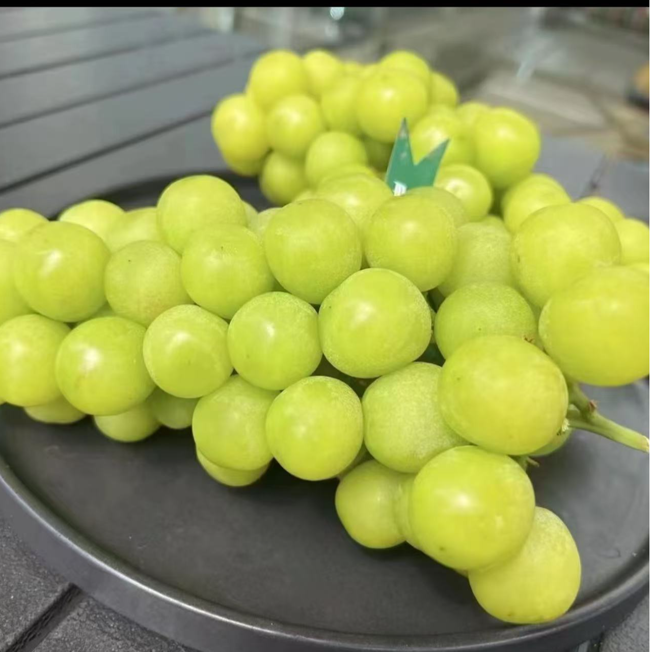 顺丰 高山云南阳光玫瑰葡萄特大 不是楼铁源净1.6/4斤（仅南京）