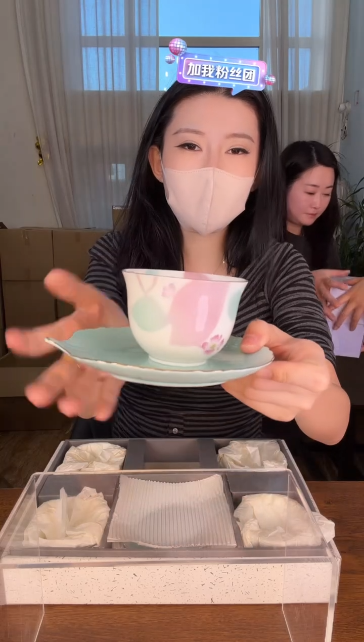 小狐狸严选日瓷器小狐狸精选日瓷器