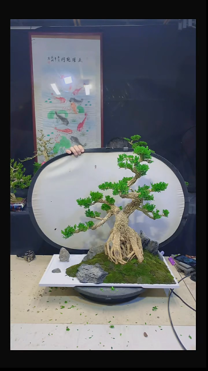 无花朵谢*生11111111111111