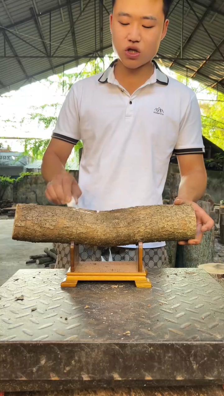 四川小叶桢楠金丝楠