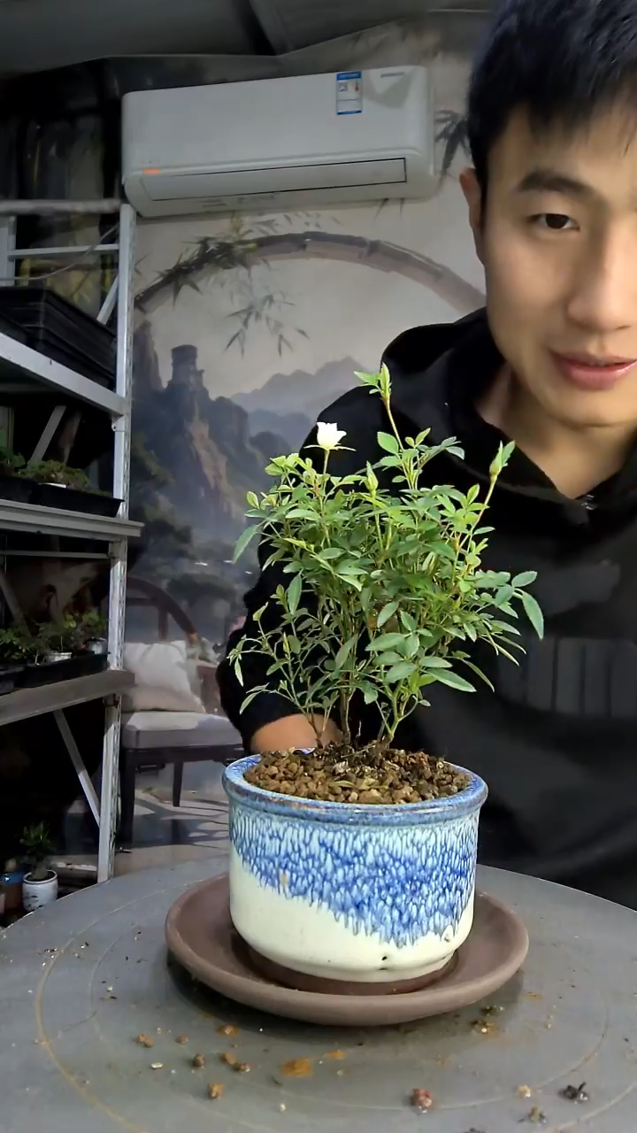 S**.中青园艺一物一拍50