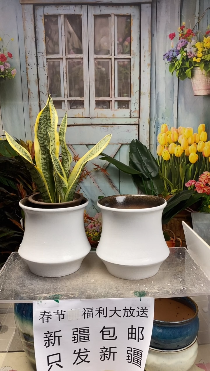 【闪购商品】红陶白色收腰陶盆2个装