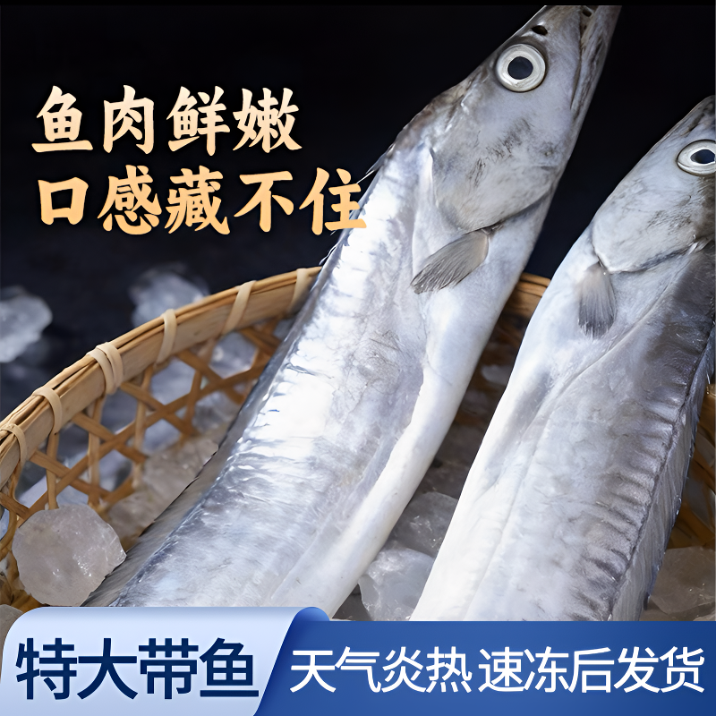 新鲜小眼东海油带鱼整条深海鱼 天气炎热急冻发货8-10两/26