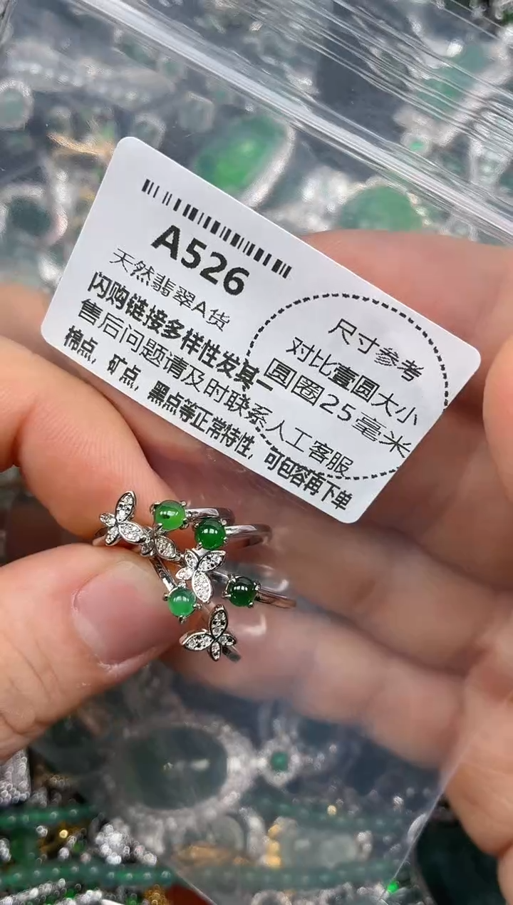 颈饰未镶嵌翡翠A526戒指 多样性发其二