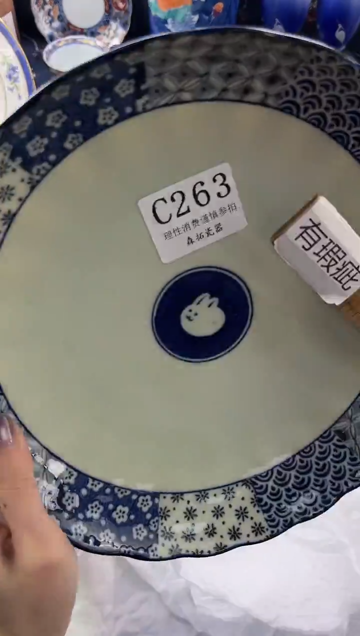 瓷片          C263