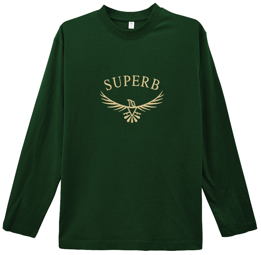 CX29320#新款长袖秋装男女同款新疆长绒棉休闲百搭简约圆领上衣