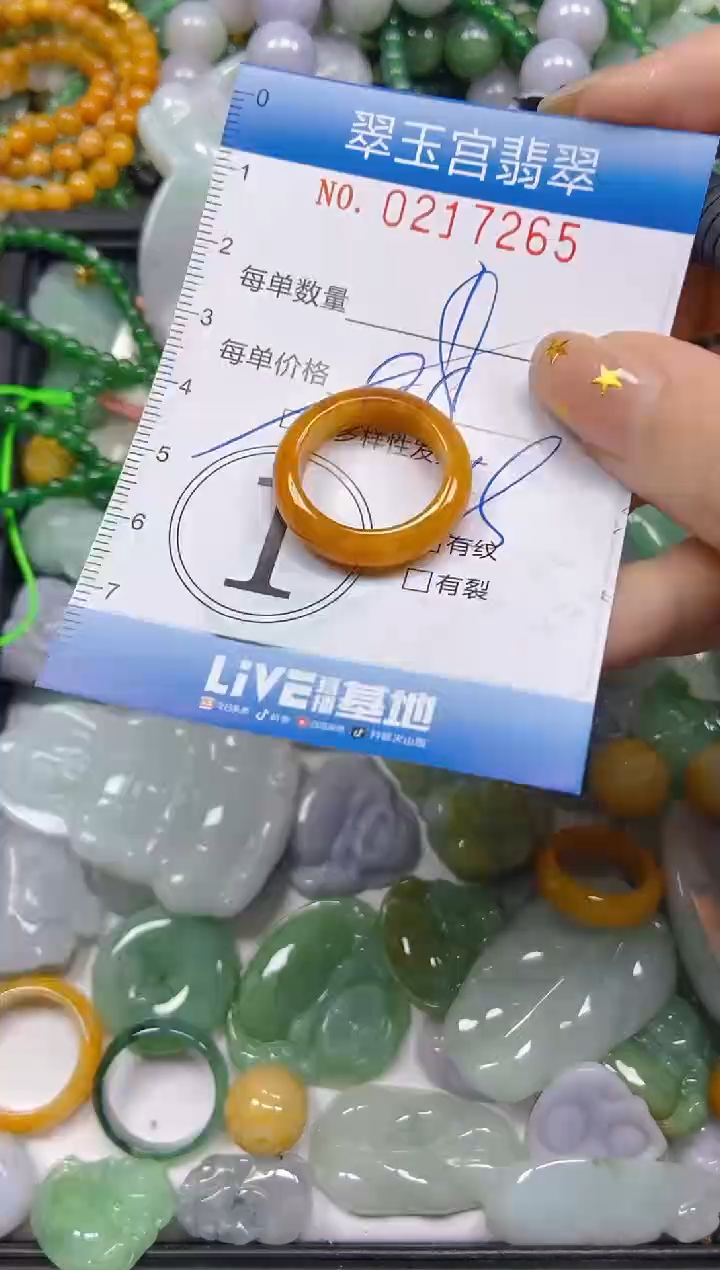颈饰未镶嵌翡翠闪购C0217265多样性发其一