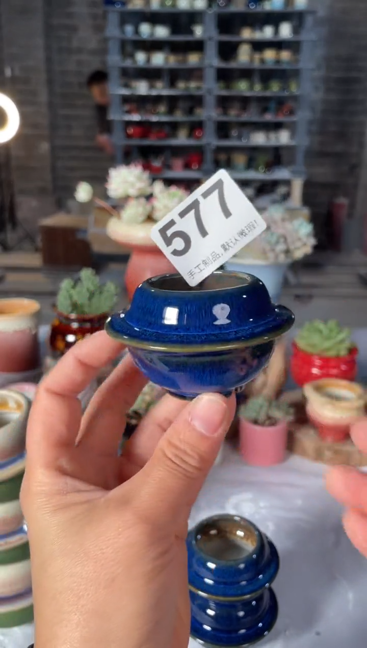 瓷片577小芳直播编号