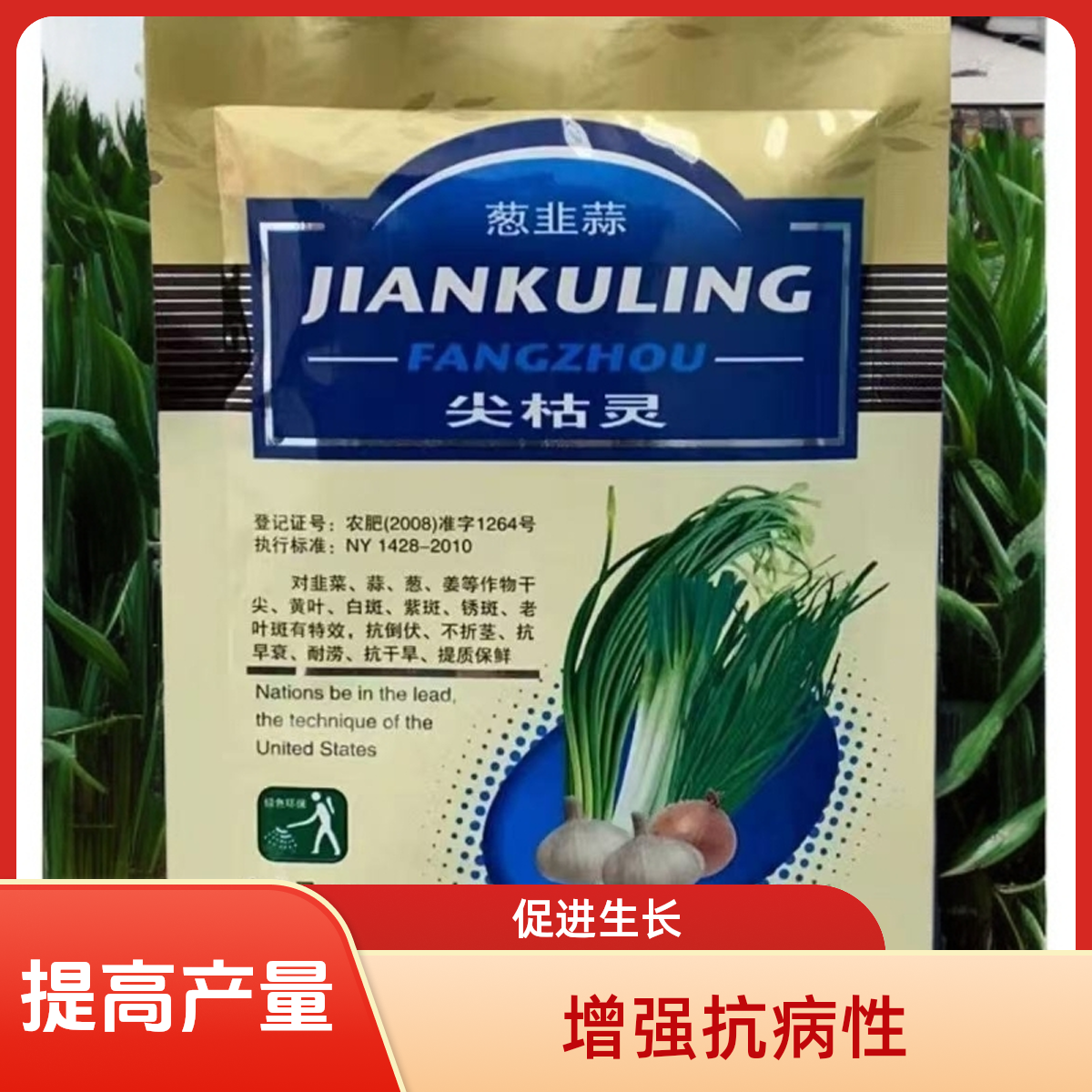 葱韭蒜干尖黄叶水溶肥料