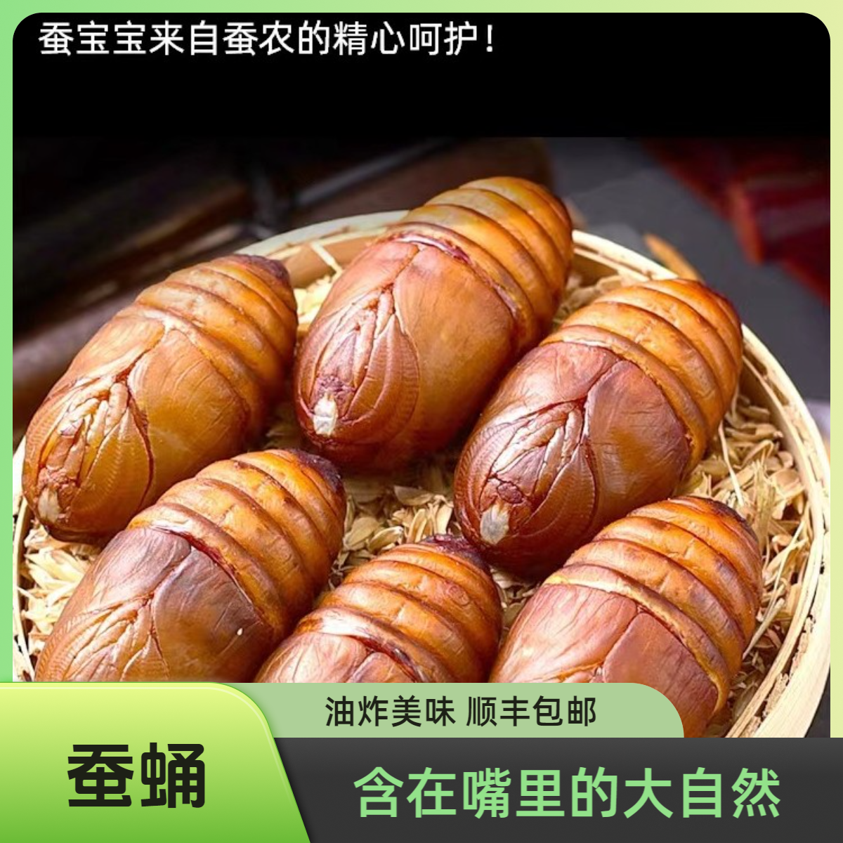 山东大黄蚕蛹油炸新鲜速冻包邮发货大黑蛹二黄蛹蝉蛹柞蚕蛹茧蛹子