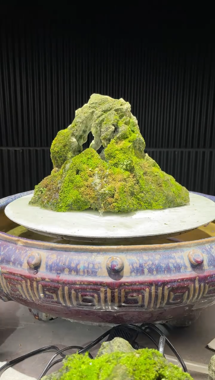 造型吴定石一物一拍专属