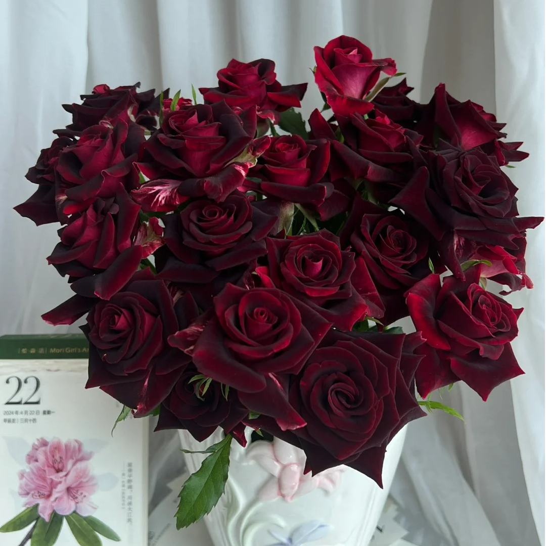 【云南鲜花】多头（紫罗兰）玫瑰 1单普通快递，2单以上顺丰冷链