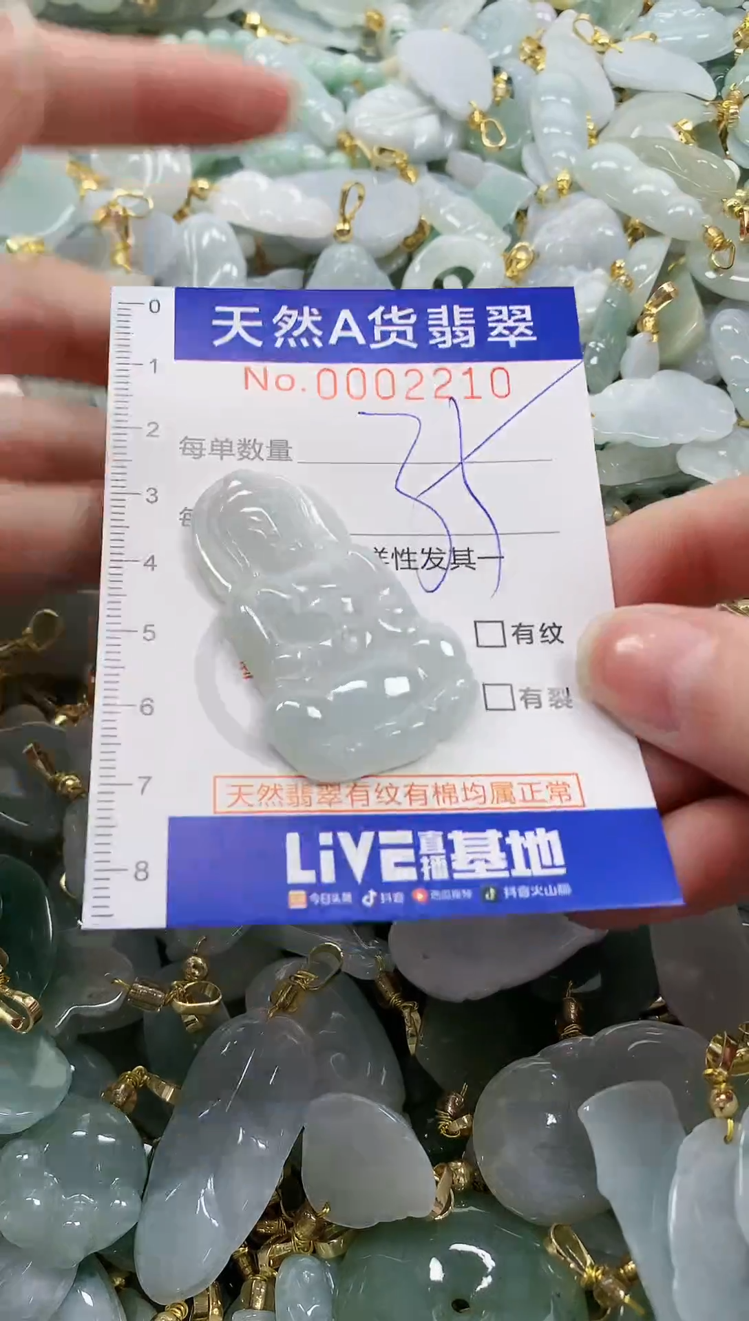 颈饰未镶嵌翡翠纯天然a货翡翠