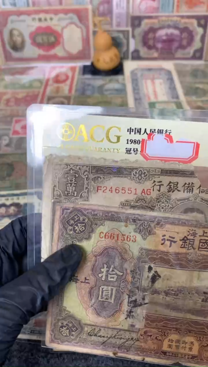 纸246551/661563  两张     